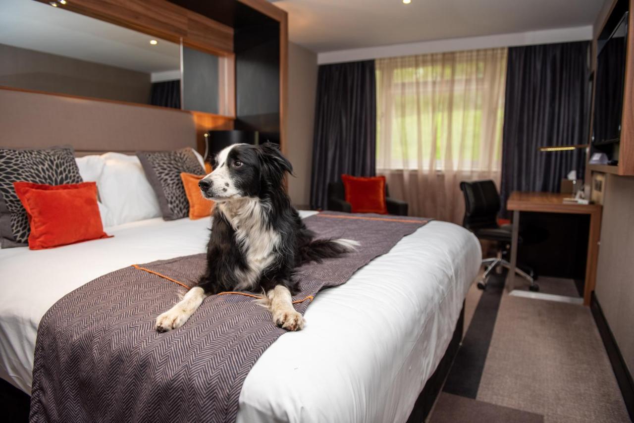 Crowne Plaza Gerrards Cross By Ihg Hotell Beaconsfield Exteriör bild