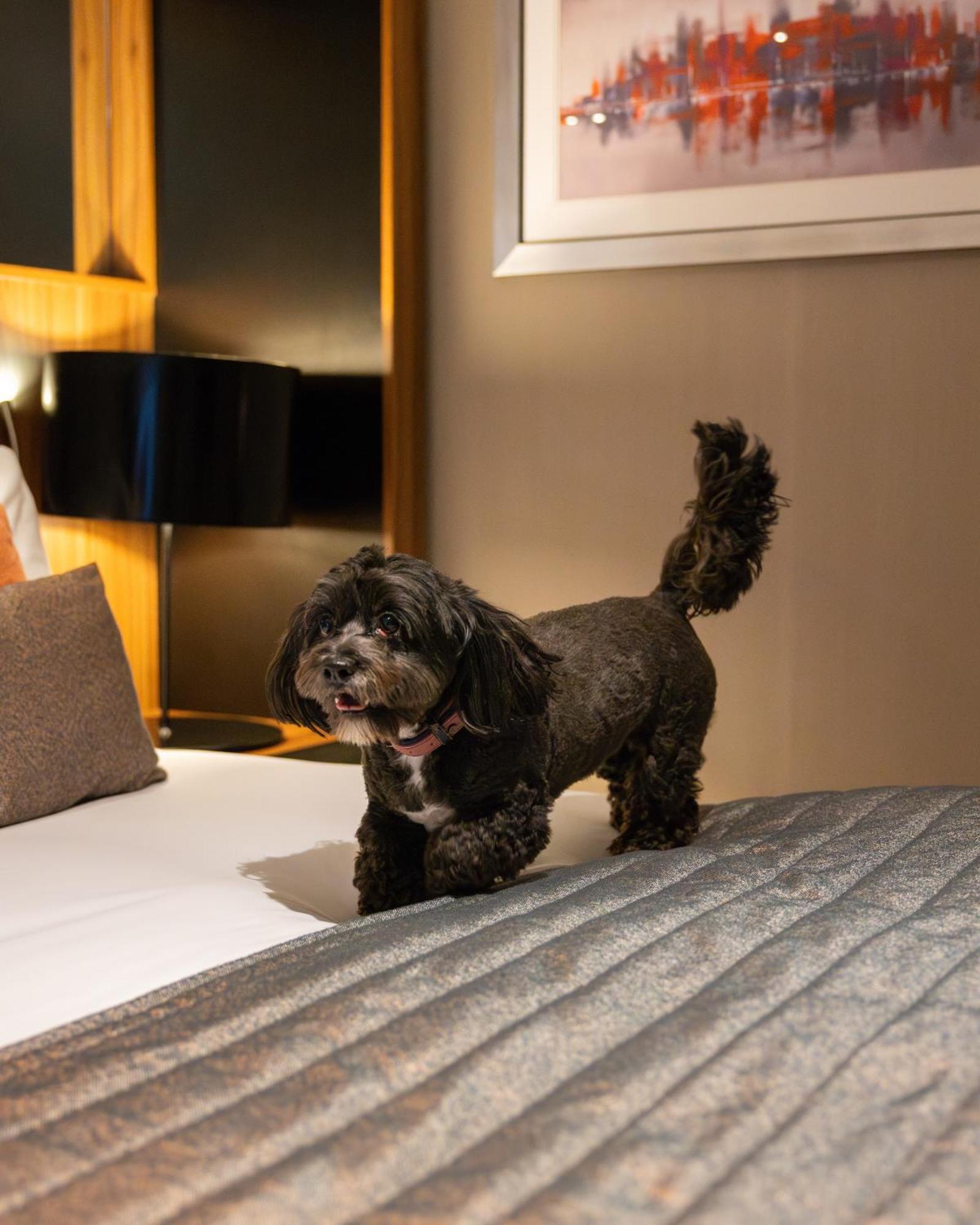 Crowne Plaza Gerrards Cross By Ihg Hotell Beaconsfield Exteriör bild